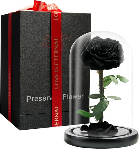 Rosa Eternamente Preservada - Rosa Eterna en Cúpula de Cristal - Rosa de La Bella y La Bestia para Mamá - Flores Frescas (Negro, 22.86 cm)