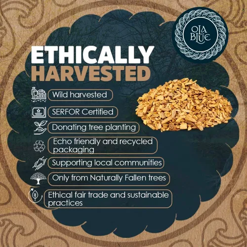 Vista 5 de Palo Santo Chips 4oz Natural y Sostenible de Perú Cosechado Sustentablemente Resina Aromática – para manchas, limpieza energética, meditación