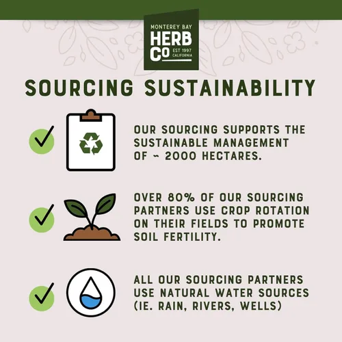 Vista 6 de Hoja de eucalipto, de Herb Co, utilizada para hacer aceites infundidos, masajes para el pecho, crema y aromas para la piel, cortada y tamizada 1