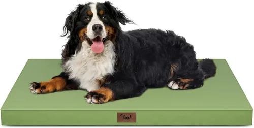 Vista 42 de Cama para perros y gatos pequeños, impermeable, para jaula de huevos, espuma ortopédica con funda Oxford lavable y extraíble, color verde Amy