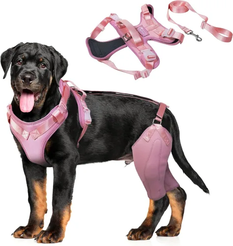Vista 8 de Rodillera para perro ACL soporte para patas traseras para perros lesionados, soporte ajustable para piernas de perro para estabilidad de la pierna