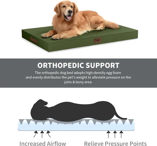 Vista 2 de Cama para perros y gatos pequeños, impermeable, para jaula de huevos, espuma ortopédica con funda Oxford lavable y extraíble, color verde Amy