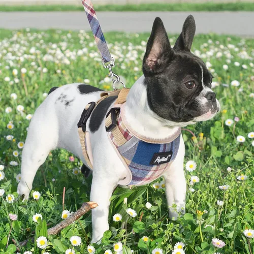 Vista 6 de PUPTECK Juego de arnés y collar de correa para perros pequeños y medianos, cachorros y gatos, sin tirones, ajustable, reflectante, de malla suave