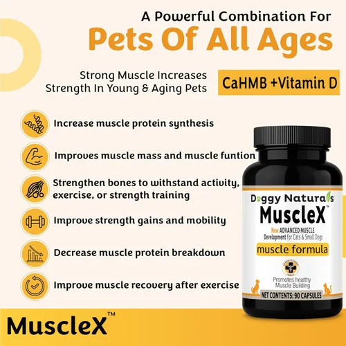 Vista 4 de Fórmula muscular canina para gatos y perros pequeños con 300 mg de CaHMB y vitamina D3 – Fórmula natural de construcción muscular – Ayuda a reducir