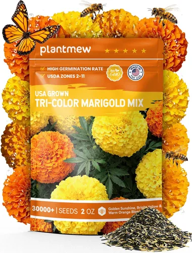 Vista 9 de Semillas de caléndula tricolor para plantar Más de 15,000 semillas de flores de caléndula francesa de reliquia Sin OMG, alta germinación