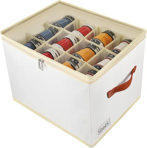 Patinao Caja organizadora de almacenamiento de zapatos para armario - Contenedores recipientes de zapatos ahorradores de espacio con tapas