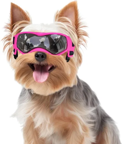 Vista 8 de Gafas de sol para perros de razas pequeñas, para perros de raza pequeña, protección contra la luz solar, protección UV para perros con correas Negro