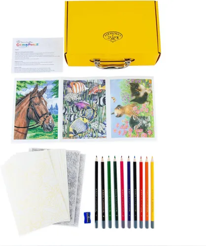 Vista 3 de ROYAL BRUSH Kit de lápiz de color por número