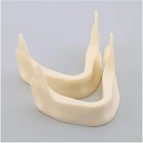 Vista 4 de Modelo de dientes de implante mandíbula - Modelo de Typodont dental - Modelo oral de relleno de hueso de imitación para niños, estudiantes