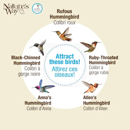 Vista 7 de Nature's Way Bird Products ANTHF2-I - Comedero iluminado, antiguo para colibríes, color azul claro/rosa