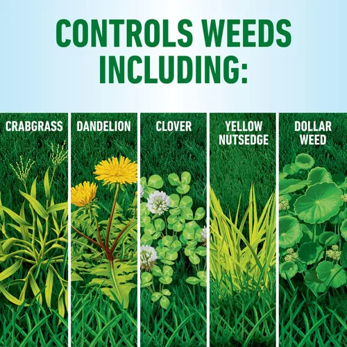 Vista 6 de Roundup for Lawns1 Refill - Resistente herbicida para uso en hierbas del norte, 1.25 galones (paquete de 2)