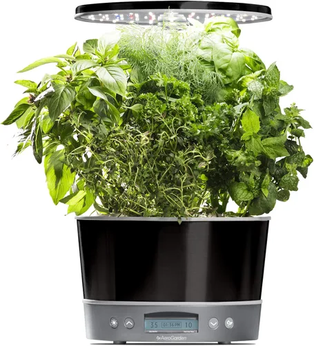 AeroGarden Harvest Elite 360 Sistema hidropónico de jardín interior con luz LED de cultivo y kit de hierbas, capacidad para hasta 6 cápsulas, Platino