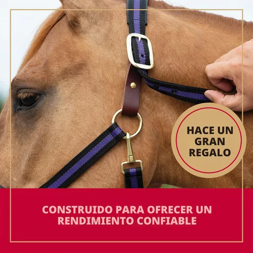 Vista 4 de Weaver Leather Dogal acolchado y ajustable a barbilla y garganta, 1 pulgada, para caballo tamaño promedio