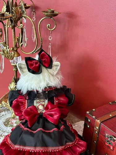 Vista 95 de Moda Vestido de Princesa de Encaje para Perro Cachorro Dulce para Perro EXTRAL Pequeño y Pequeño A-Negro XX-Pequeño