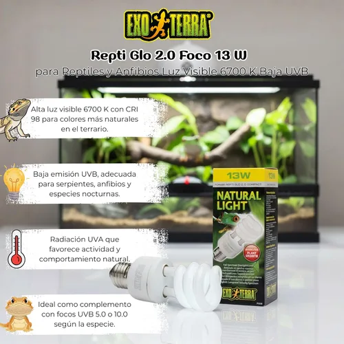 Vista 5 de Exo Terra Repti-Glo 2.0 Lámpara (13W, luz natural) Lámpara de terrario de espectro completo fluorescente compacta