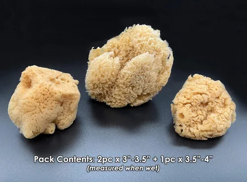 Vista 2 de Esponjas de mar naturales de cangrejo ermitaño, extra grandes, sin blanquear, 3 a 4 pulgadas, paquete de 3, proporciona nutrientes, beber más seguro