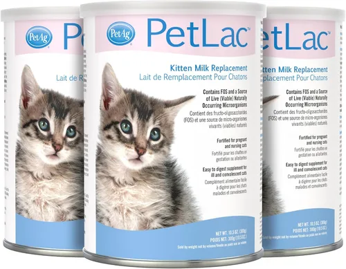 Pet-Ag PetLac Polvo para gatitos – 10.5 onzas, paquete de 3 – Polvo de reemplazo de leche para gatitos recién nacidos a seis semanas de edad – fácil