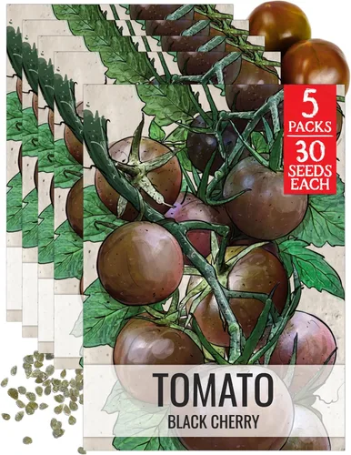 Vista 12 de Seed Needs Semillas de tomate para plantar tomates indeterminados de carne de res verdaderos, reliquia sin OMG y semillas de vegetales sin tratar