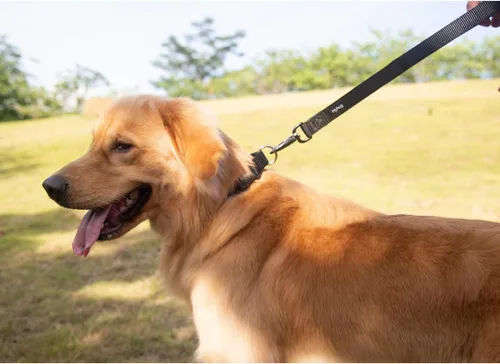 Vista 2 de Correa corta de nailon resistente de alta calidad de 18 pulgadas con mango acolchado suave para perros gigantes, grandes, medianos y machos – uso