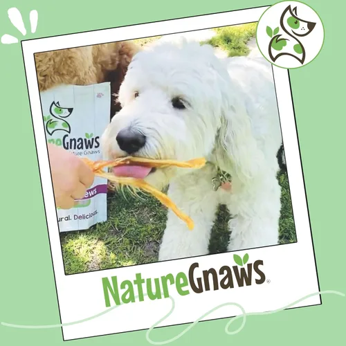 Vista 7 de Nature Gnaws Tendones de Res para Perros (8oz) - Grosor Mixto - Larga Duración para Perros Pequeños y Medianos - Huesos Masticables Naturales