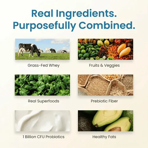 Vista 3 de TrueFit Polvo de Proteína Saludable para el Intestino, Batido de Reemplazo de Comida de Suero de Leche de Ganado Alimentado con Pasto