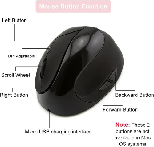 Vista 7 de Ratón inalámbrico vertical de 2.4G con receptor USB, 6 botones, diseño vertical ergonómico hacia adelante y hacia atrás, ratones verticales