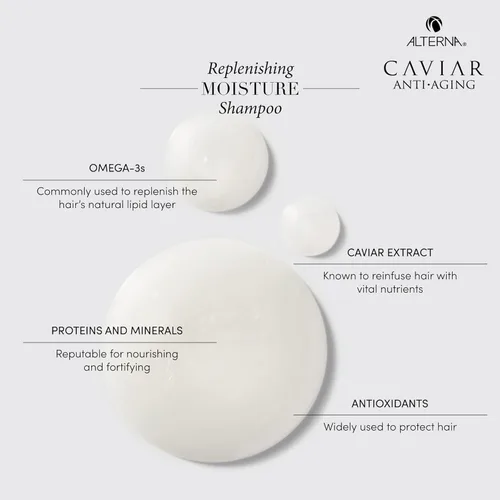 Vista 5 de Alterna CAVIAR Anti-Aging Replenishing Moisture Shampoo For Dry, Brittle Hair Protects, Restores & Hydrates Sulfate Free