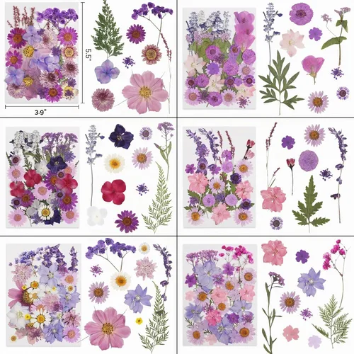 Vista 2 de 412 piezas de flores secas para manualidades, flores secas de naturaleza