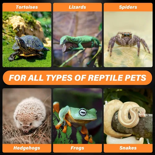 Vista 6 de Simple Deluxe 75W Emisor de calor de cerámica de 2 paquetes, lámpara de calor para reptiles sin emisión de luz, bombillas de calor para terrarios