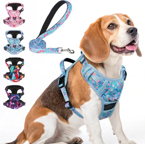 Vista 9 de BEAUTYZOO Arnés para perro sin tirones pequeño, juego de arnés y correa ajustable para perro - Fácil de usar con 3 hebillas/mango de control, arnés