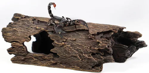 Vista 7 de Decoraciones de Acuario Tronco de Árbol Hueco Accesorios para Tanque de Peces Tocón Refugio para Betta Cuevas Madera Flotante para Acuario Árbol