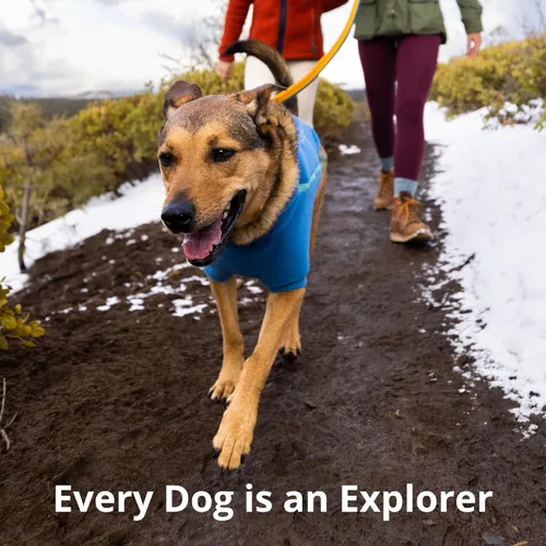 Vista 9 de Ruffwear, Roamer Bungee - Correa elástica para perro para correr, andar en bicicleta o senderismo, se puede utilizar de mano o manos libres, verde