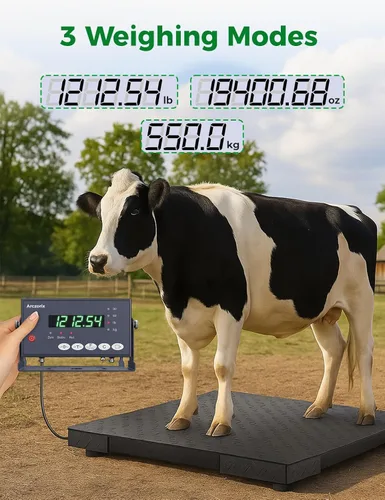 Vista 4 de Báscula de piso industrial de 24 x 24 pulgadas, 2500 libras, báscula de palet de precisión con indicador digital, báscula de pesaje resistente