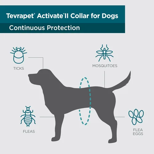 Vista 4 de TevraPet Activate II Collar antipulgas y garrapatas para perros pequeños, prevención de 12 meses, 2 unidades, se adapta a cuellos de hasta 15