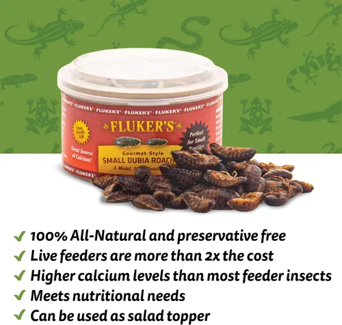 Vista 3 de Fluker's Alimento enlatado gourmet para reptiles, peces, pájaros y animales pequeños, cucarachas pequeñas Dubia, 1.2 oz