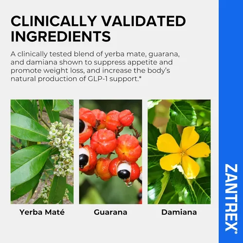 Vista 4 de Zantrex Blue Energy & Thermogenesis Boost Energy Suplemento de pérdida de peso para control del apetito, aumento de la quema de calorías y apoya