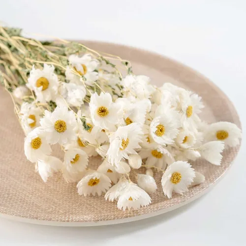 Vista 2 de Ramo de flores de margaritas secas, más de 150 flores blancas secas, girasoles artificiales, arreglos de margaritas naturales Gerber de 17 pulgadas