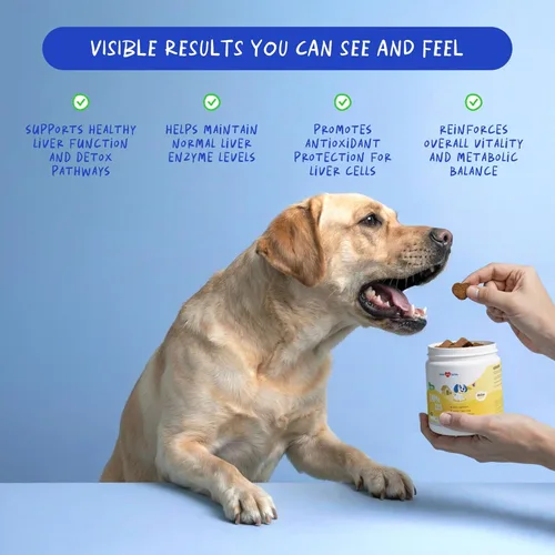 Vista 3 de Same para Perros - 90 Masticables Suaves - S-Adenosil-L-Metionina, Suplemento Hepático - Salud Cerebral, Promueve el Apoyo Cognitivo, Apoyo Hepático