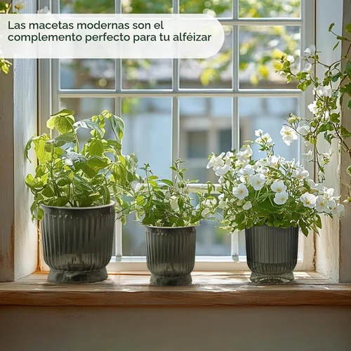 Vista 7 de T4U Self Watering Pots for Indoor Plants 4 Inch 4 Pack Planter Gray gris (Translucent Gray)
