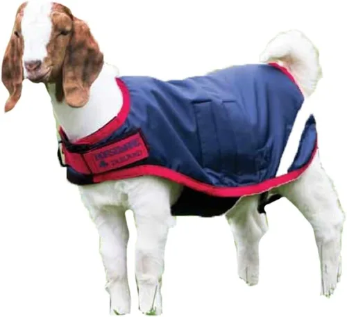 Vista 7 de Horseware Ireland RAHG21-JISK - Abrigo de cabra Excalibur/plateado, XL