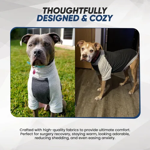 Vista 6 de Tooth & Honey Camisa para perros medianos – Algodón transpirable y elastano sin botones con cobertura completa debajo del vientre – Gris