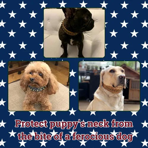 Vista 6 de Collar de perro con tachuelas y tachuelas cromadas redondas antimordeduras (negro, XS)