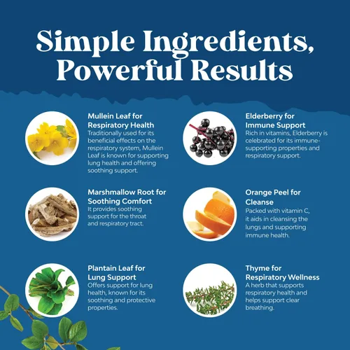 Vista 7 de USDA - Gotas orgánicas de gordolobo para pulmones – Desintoxicación y limpieza de pulmón a base de hierbas con extracto de raíz de malvavisco y hoja