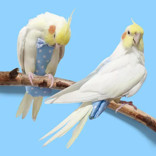 Vista 7 de VANFAVORI Arnés de pañales para pájaros, ropa de traje de vuelo con cuerda de correa voladora de 80 pulgadas para loros, conure, cacatúas, aves