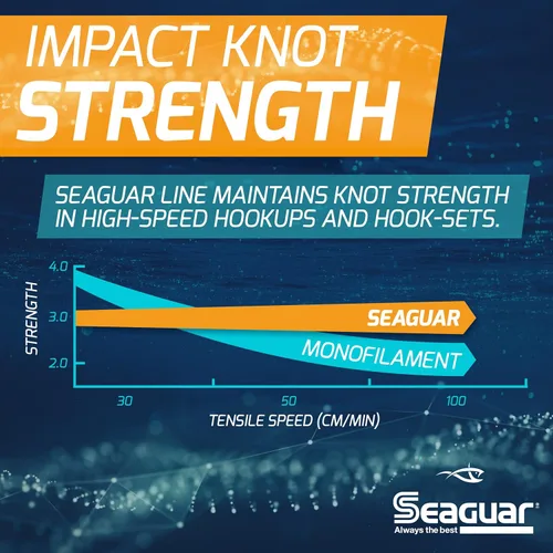 Vista 11 de Seaguar Blue Label líder de fluorocarbono