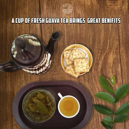 Vista 636 de FreshDrinkUS, 135 bolsas de té de jengibre y cúrcuma premium, ingredientes 100% naturales, mezcla hecha a mano de té de hierbas de cúrcuma