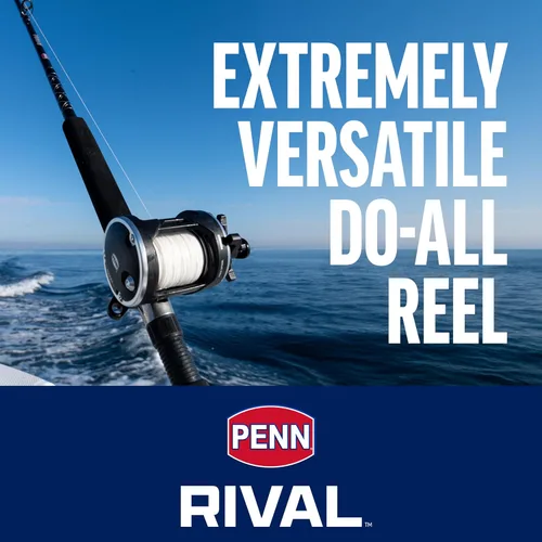 Vista 2 de PENN Rival Level Wind - Carrete de pesca convencional para aguas cercanas/lagos, arrastre de estrella HT-100, máximo de 15lb 6.8kg, carrete