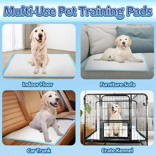 Vista 5 de Dogcator Almohadillas para orina de perro extragrandes, 30 unidades gruesas y absorbentes para perros, cama desechable de orina de 28 x 34 pulgadas