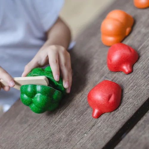 Vista 9 de PlanToys - Juguete educativo ecológico, multicolor (3431)