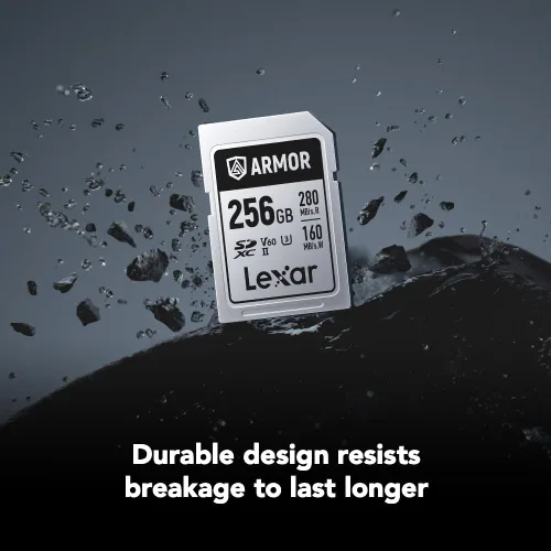 Vista 29 de Lexar Tarjeta profesional SDXC UHS-II/U3